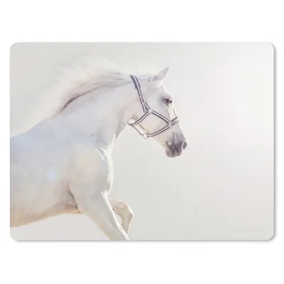 Produktbild von MuchoWow® Mauspad Mousepad Pferd - Weiß - Mähne 40x30 cm - Mousepads - Maus Mat - Pad - Mausunterlage - Anti Rutsch