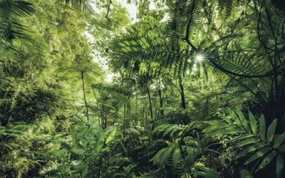 Obrázek produktu pro Sanders & Sanders Jungle Pattern Wallpaper Green 400 x 250 cm