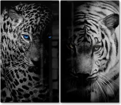 Produktbild von DEQORI Herdabdeckplatte Glas 2-tlg 'Leopard und Tiger' Herd Abdeckung Küche