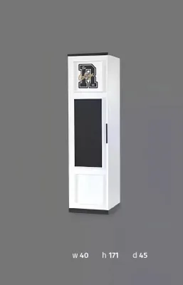 Produktbild von Regal Schrank Bücherregal Schränke Mehrzweck Möbel Braun 171x45x40