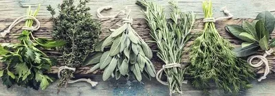 Produktbild von Leinwandbild Herbs on wood 77x27 cm