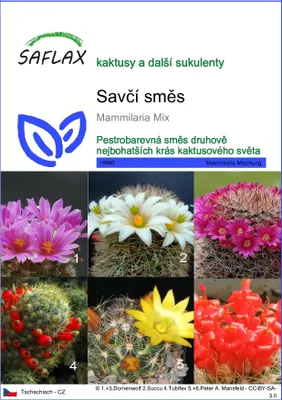 Obrázek produktu pro SAFLAX - Savčí směs - Mammilaria Mix - 40 Semena