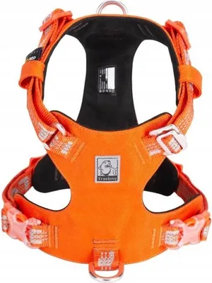 Produktbild von Adventure Dog Truelove Bulldog Geschirr S