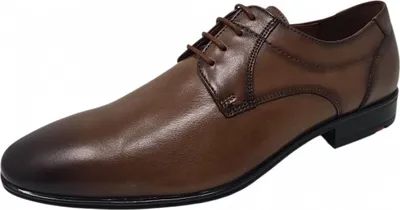 Obrázek produktu pro Boty Lloyd street Standard v hnědé barvě, velikost 9
