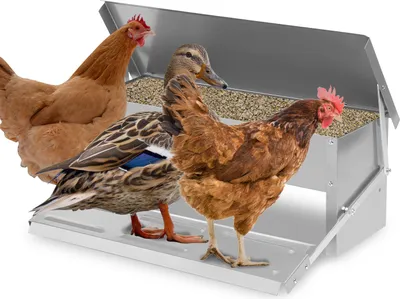 Produktbild von Futterautomat Hühner Hühnerfutterautomat aus Verzinkter Stahl 5KG Futterspender Futtertrog mit Automatisches Pedal und Wasserfest Decke Hühnerfutter für Geflügel, Wasserdicht und rattensicher