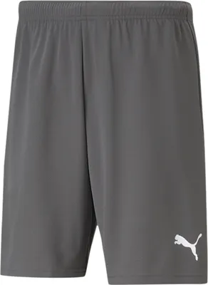Immagine prodotto di Puma teamRISE Short - Gr. L