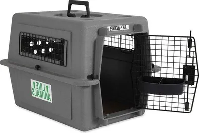 Produktbild von Famanu Transportbox für Haustiere 21 Zoll - Komfortabel - Nachhaltig