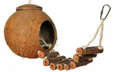 Obrázek produktu pro Kokosový domeček - žebřík nebo hračka pro všechny papoušky