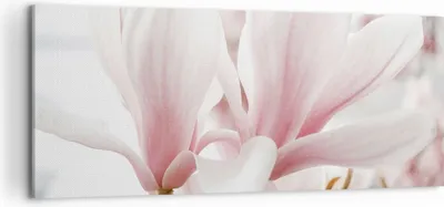 Produktbild von Bild auf Leinwand - Leinwandbild - Einteilig - Zweig Magnolie Blume - 100x40cm - Wand Bild - Wanddeko - Wandbilder - Leinwanddruck - Bilder - Wanddekoration - Leinwand bilder - AB100x40-4538