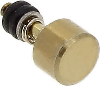 Produktbild von Casio Ersatzteil | Ersatzdrücker aus Edelstahl blassgoldfarben DW-5600P