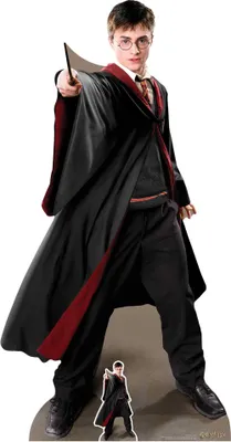 Produktbild von Harry Potter Pappaufsteller Quidditch Captain Pappaufsteller