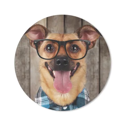 Produktbild von MuchoWow® Mauspad Mousepad Hund - Brille - Bluse - Hipster 20x20 cm - Mousepads - Maus Mat - Pad - Mausunterlage - Schreibtischmatte