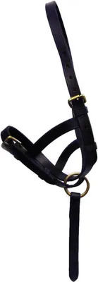 Produktbild von Hy Leder Fohlen Slip-Halfter BZ350 (Large) (Braun)