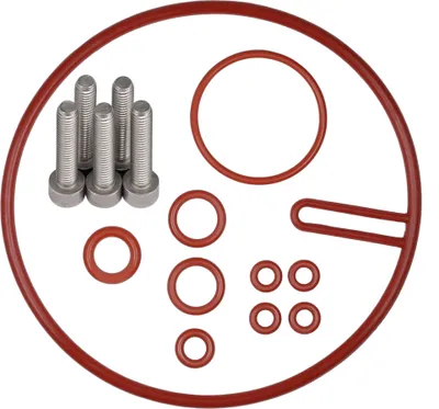 Immagine prodotto di Kit di manutenzione delle guarnizioni Set di anelli di tenuta Pezzo di ricambio per valvola di supporto del termoblocco Tubo flessibile di pressione adatto a Saeco Gaggia Miele Set-2
