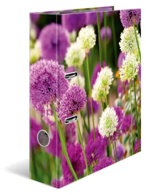 Produktbild von HERMA Ordner A4 Lila Blumen, 7 cm breit, Kinder Ringordner mit Pflanzen Motiv, bunter Aktenordner mit Innendruck für Jungen und Mädchen