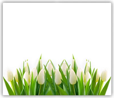 Produktbild von Tulup Glas Herdabdeckplatte Glaskeramikkochfeld-Abdeckung Spritzschutz Glasabdeckplatte Kochplattenabdeckung und Schneidebrett - Einteilig - 60x52 cm Weiße Tulpen