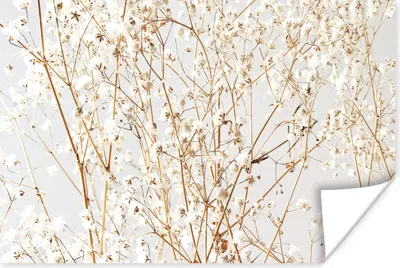 Produktbild von MuchoWow® Poster Natur - Äste - Blumen 120x80 cm - Bilder