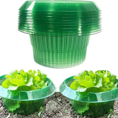 Produktbild von 20 Stück robuste Gemüseschutzhauben, grün transparent für Garten & Hochbeet