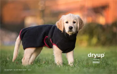 Produktbild von Dryup Cape Mini black 40 cm