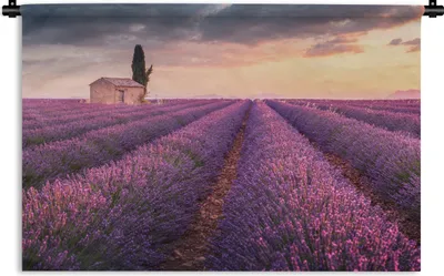 Produktbild von MuchoWow® Wandteppich Wandbehang Lavendel - Blumen - Lila - Feld 90x60 cm Tapisserie Dekoration Wandtuch - Wandskulpturen - Bildteppich