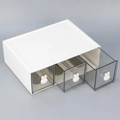 Produktbild von Vielseitige Kunststoff-Unterbringungskarton - 1 Stück - 23x17x8 cm