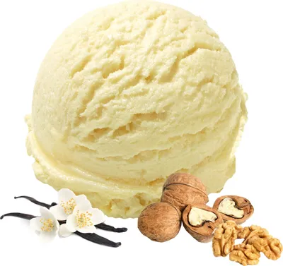 Image de Vanille Noix Glace végétalienne en poudre sans sucre, sans lactose 10 kg