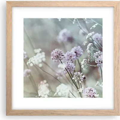 Produktbild von Gerahmtes Poster - Rahmen in heller Eiche - Wiese Knoblauch Blume - 30x30 cm - Wand Bild - Wanddeko - Wandbilder - Wandposter - Bilderrahmen - Bilder - Kunstdruck - Wandbild - P2NAC30x30-4177