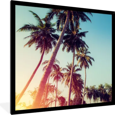 Produktbild von MuchoWow® Gerahmtes Poster Palme - Sommer - Retro - Sonne 40x40 cm - Poster mit Schwarzem Bilderrahmen Wandposter Rahmen Foto Bilder - Mit Rahmen - Wanddekoration Schlafzimmer