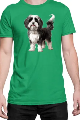 Obrázok produktu pre Mužské Tričko Dogs Breeds Havanese Dog Breed 006, Man L / zelená