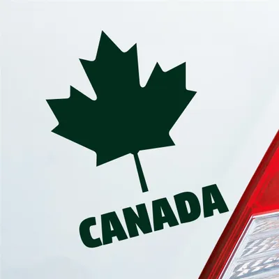Produktbild von Auto Aufkleber Kanada Canada Ahornblatt maple leaf Urlaub Car 10x13 cm Dunkelgrün Sticker Heckscheibenaufkleber