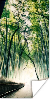Produktbild von MuchoWow® Poster Bambuswald in Arashiyama, Japan 60x120 cm - Wandschmuck