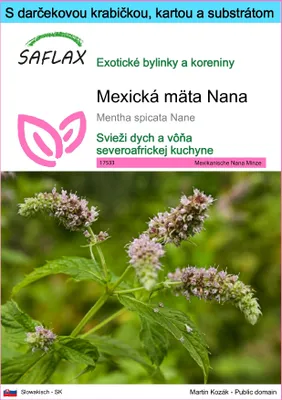 Obrázok produktu pre SAFLAX Darčeková sada - Mexická mäta Nana - Mentha spicata Nane - 500 Semená - S darčekovou krabičkou, prepravným štítkom, darčekovou kartou a pestovateľským médiom