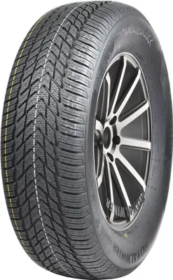 Produktbild von Royal Black Royalwinter Hp 205/55R16 91H Bsw