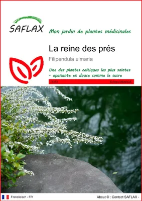 Image de SAFLAX  - La reine des prés - 500 graines - Filipendula