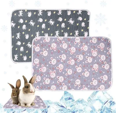 Produktbild von Kühlmatten für Kaninchen – Kühlmatten für Haustiere – Kühlmatten für Chinchillas – Kühlmatten für Meerschweinchen – 40 x 30 cm – 2 Stück