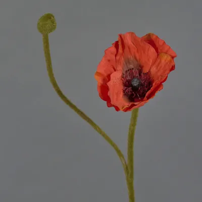 Produktbild von artplants.de Kunstblume Mohnblume YILAN, rot, 60 cm - Künstliche Stielblume