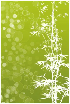 Produktbild von Wallario Wandbild aus Acryl, 90 x 60 cm, freischwebende Optik - Bambusmuster grün-weiß
