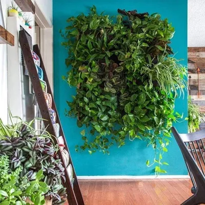 36 Stück Grow Bags für vertikale Wandpflanzen, ideal für Balkon und Terrasse, gefütterte Taschen für Wandgarten und