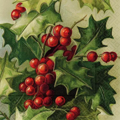 Immagine prodotto di Tovagliolo di carta Rosso Fiori di Natale Agrifoglio