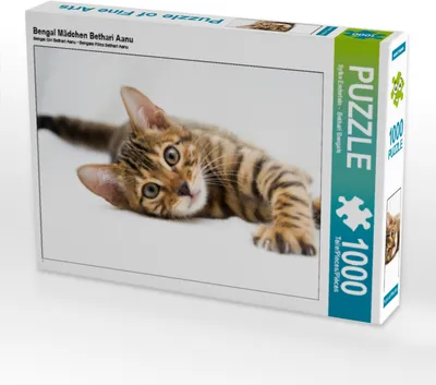 Produktbild von CALVENDO Puzzle Bengal Mädchen Bethari Aanu | 1000 Teile Lege-Größe 64x48cm Foto-Puzzle für glückliche Stunden