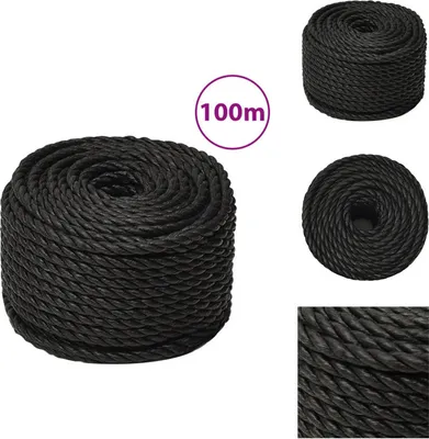 Produktbild von vidaXL Arbeitsseil Schwarz 10 mm 100 m Polypropylen - Seile