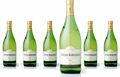 Produktbild von 6 x Barbadillo Blanco De Albariza
