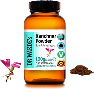 Produktbild von DR WAKDE'S Kanchnar Pulver (Bauhinia variegata) - 100 g (3,5 Unzen) | Rein, Raw & Getrocknetes Pulver | Ayurveda-Kräuter | Vegan | Nichts hinzugefügt,