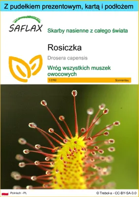 Zdjęcie produktu dla SAFLAX - Zestaw prezentowy - Rosiczka - 200 Nasiona - Z pudełkiem upominkowym, etykietą wysyłkową, kartą podarunkową i podłożem uprawowym - Drosera capensis