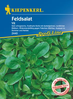 Produktbild von [STREICHUNG 2025] Feldsalat Vit | Feldsalatsamen von Kiepenkerl
