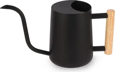 Produktbild von Kamerpflanzen Gießkanne - 1 Liter - Dekorativ - Schwarz - Metall