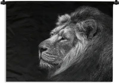 Produktbild von MuchoWow® Wandteppich Wandbehang Löwe vor schwarzem Hintergrund in schwarz und weiß 150x112.50 cm Tapisserie Dekoration Wandtuch - Wanddecke - Wandteppiche