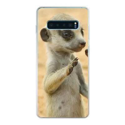 Produktbild von MuchoWow® Handyhülle Schutzhülle Hülle für Samsung Galaxy S10 Lite Erdmännchen - Braun - Tier Silikon Softcase Handy Hülle - Schutz