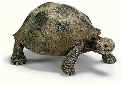 Produktbild von Riesenschildkröte Schleich 14601
