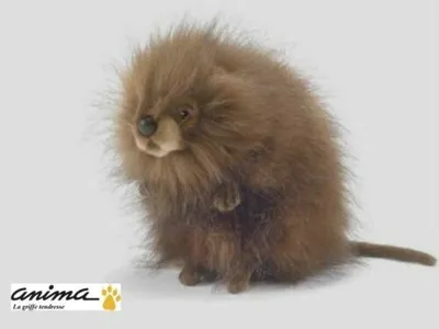 Produktbild von Hansa Toy 5201 Bisamratte 18 cm Kuscheltier Plüschtier